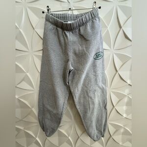 PacSun Land Rover Gray Track Pants
